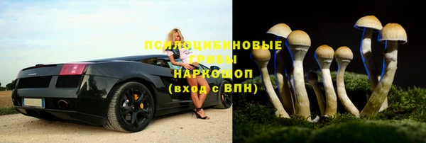 2c-b Белоозёрский