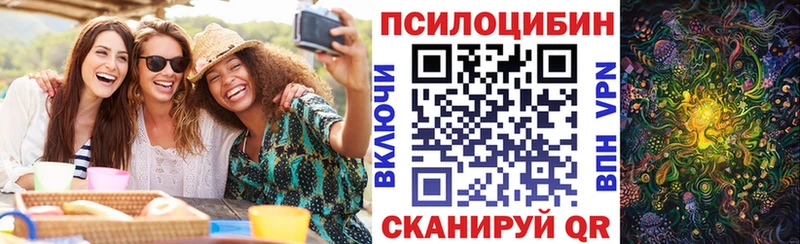 где продают наркотики  Томари  Галлюциногенные грибы Psilocybine cubensis 